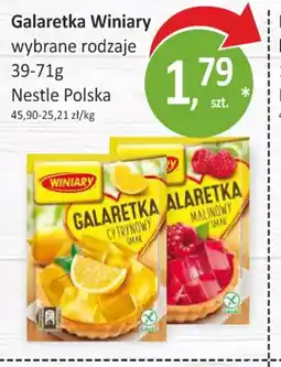 Passa Galaretka Winiary oferta