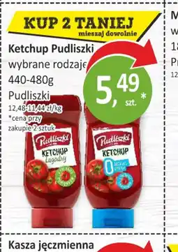 Passa Ketchup Pudliszki oferta