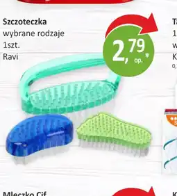Passa Szczoteczka Ravi oferta