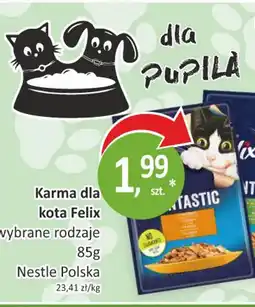 Passa Karma dla kota Felix oferta