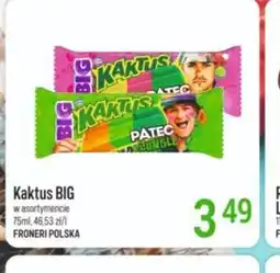 Livio Kaktus BIG oferta