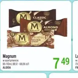 Lody Magnum