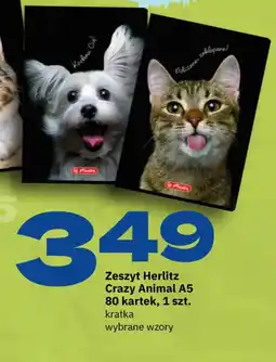 Twój Market Zeszyt Herlitz Crazy Animal oferta