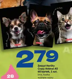 Twój Market Zeszyt Herlitz Crazy Animal A5 oferta