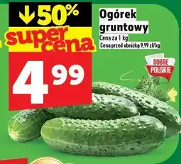 Topaz Ogórek gruntowy Dobre Polskie oferta