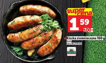 Topaz Kiełbasa Kiszka ziemniaczana Gzella oferta