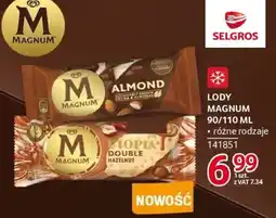 Selgros Lody Magnum oferta