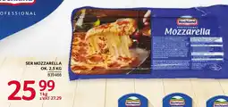 Selgros Ser Mozzarella Hochland Professional oferta