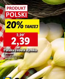 Lidl Cebula dymka Lidl oferta