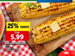 Lidl Kukurydza świeża Lidl oferta