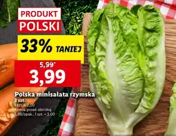 Lidl Sałata rzymska mini Lidl oferta