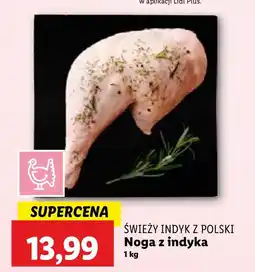 Lidl Mięso noga z indyka świeży indyk z Polski Lidl oferta