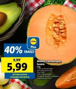 Lidl Melon Cantaloupe, luzem oferta