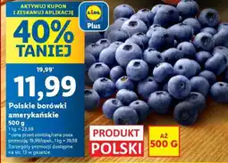 Lidl Polskie borówki amerykańskie oferta