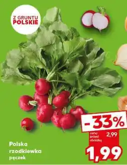 Kaufland Polska rzodkiewka pęczek oferta
