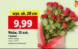 Lidl Róże, 13 szt oferta