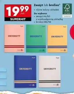 Biedronka Zeszyt lub brulion oferta