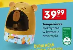 Biedronka Temperówka elektryczna w kształcie zwierzątka oferta