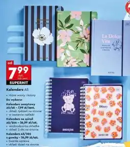 Biedronka Kalendarz zeszytowy A5/48 oferta