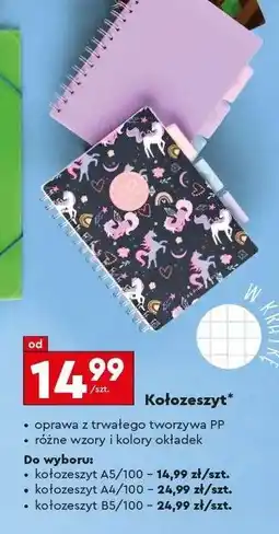 Biedronka Kołozeszyt oferta