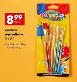 Biedronka Zestaw pędzelków, 5 szt oferta
