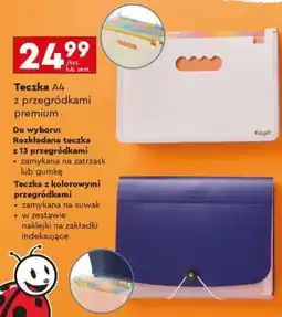 Biedronka Teczka A4 z przegrod́kami premium oferta