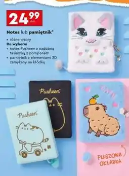 Biedronka Notes lub pamiętnik oferta