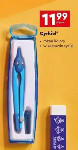 Biedronka Cyrkiel oferta