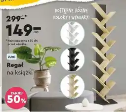 Biedronka Regał na książki oferta