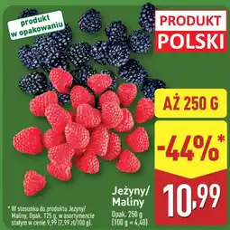 ALDI Jeżyny/ Maliny oferta