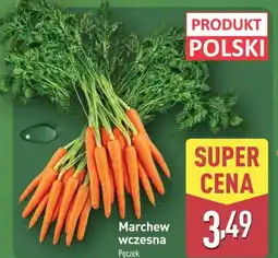 ALDI Marchew wczesna oferta