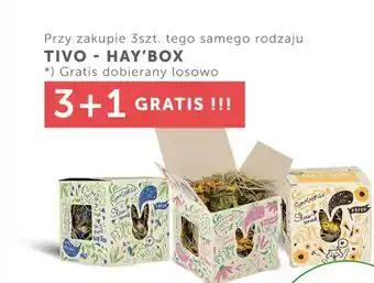 ARA TivoHay'Box oferta