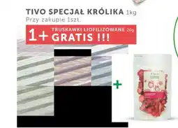 ARA Tivo Specjał Królika oferta
