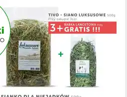 ARA Tivosiano luksusowe oferta