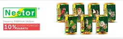 ARA Nestor oferta