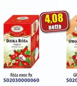 AT Róża owoc fix oferta