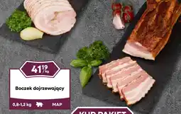 Dantex Boczek dojrzewający oferta