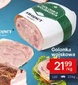 Dantex Golonka wojskowa oferta