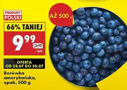 Biedronka Borówka amerykańska Biedronka oferta