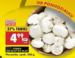 Biedronka Pieczarki, 500 g Biedronka oferta
