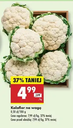 Biedronka Kalafior Biedronka oferta