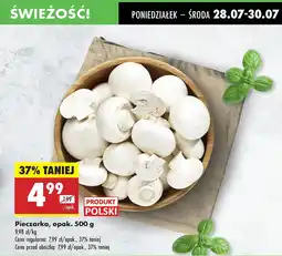 Biedronka Pieczarka Biedronka oferta