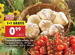 Biedronka Czosnek polski młody sztuka Biedronka oferta