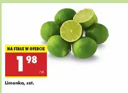 Biedronka Limonka Biedronka oferta