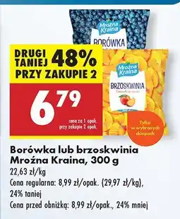 Biedronka Borówka lub brzoskwinia Mroźna Kraina oferta
