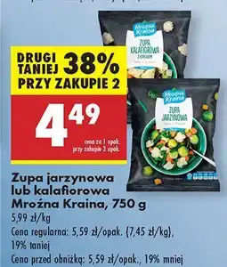Biedronka Zupa jarzynowa lub kalafiorowa Mroźna Kraina oferta