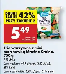 Biedronka Trio warzywne z mini marchewką Mroźna Kraina oferta