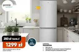 Max Elektro Lodówka Gorenje RK4162PW4 oferta