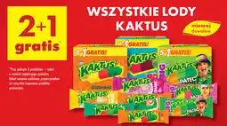 Biedronka Lody Kaktus oferta