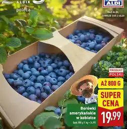 ALDI Borówki amerykańskie w kobiałce Aldi oferta